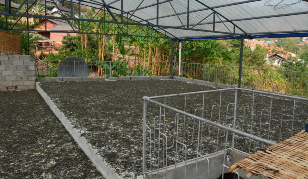 立顿为什么能做好中国茶,立顿和中国茶对比