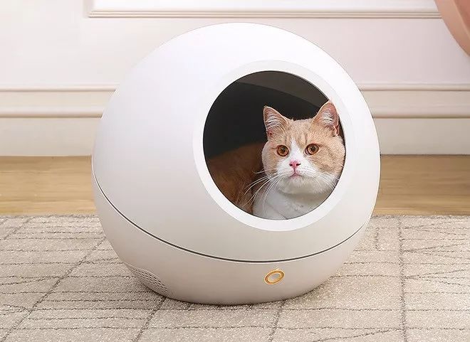 猫窝倒扣闷死猫事件,猫窝导致宠物窒息