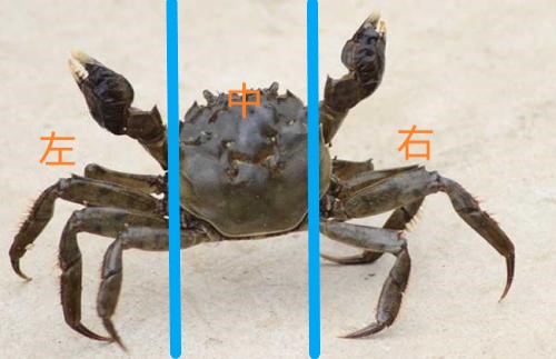 太平军正确的进军路线,太平军第一次怎么攻破江南大营