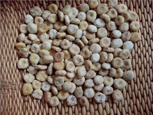 治愈痛风降尿酸最好的中药调理,痛风缓解期降尿酸中药处方