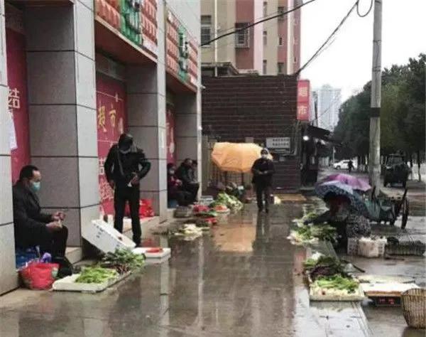 “我还没见过有那个城市的春天，能比武汉还美！”