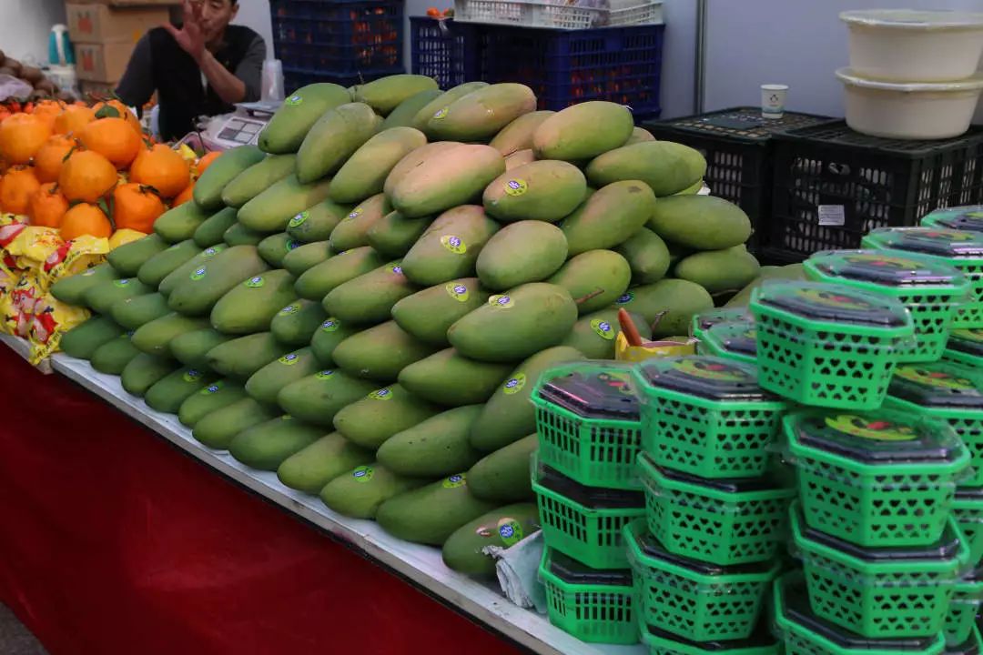 长春农博会游玩攻略,过年看农博会