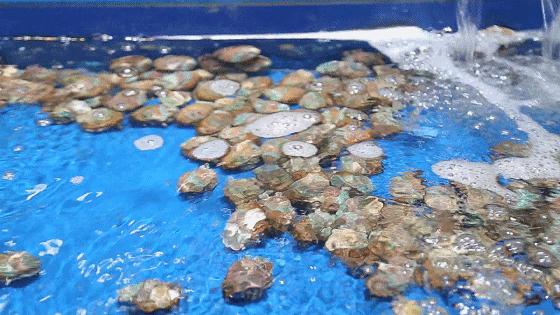 重庆的大型批发市场,最新最全重庆批发市场一览表