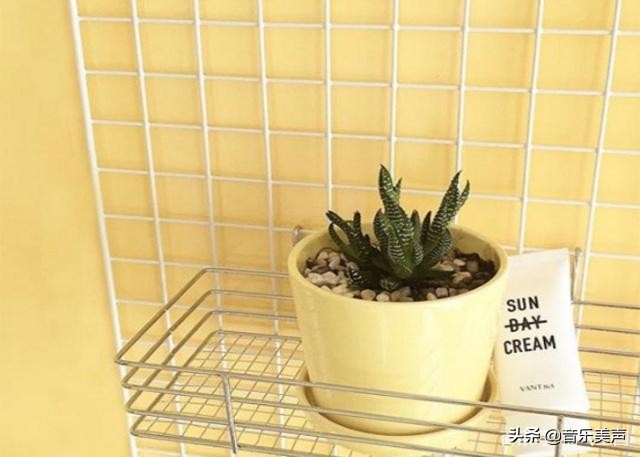 最适合做铃声的欧美流行歌,欧美歌曲推荐好听到爆简单