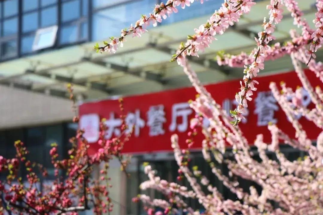 辽宁省高校(三十二)大连外国语大学