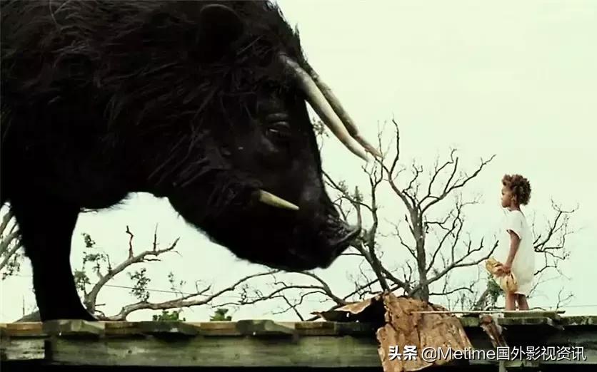 推荐8部惊险的求生电影，换做是我，活不过片头