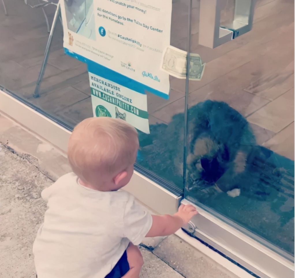 招财猫美国,招财猫可以招财