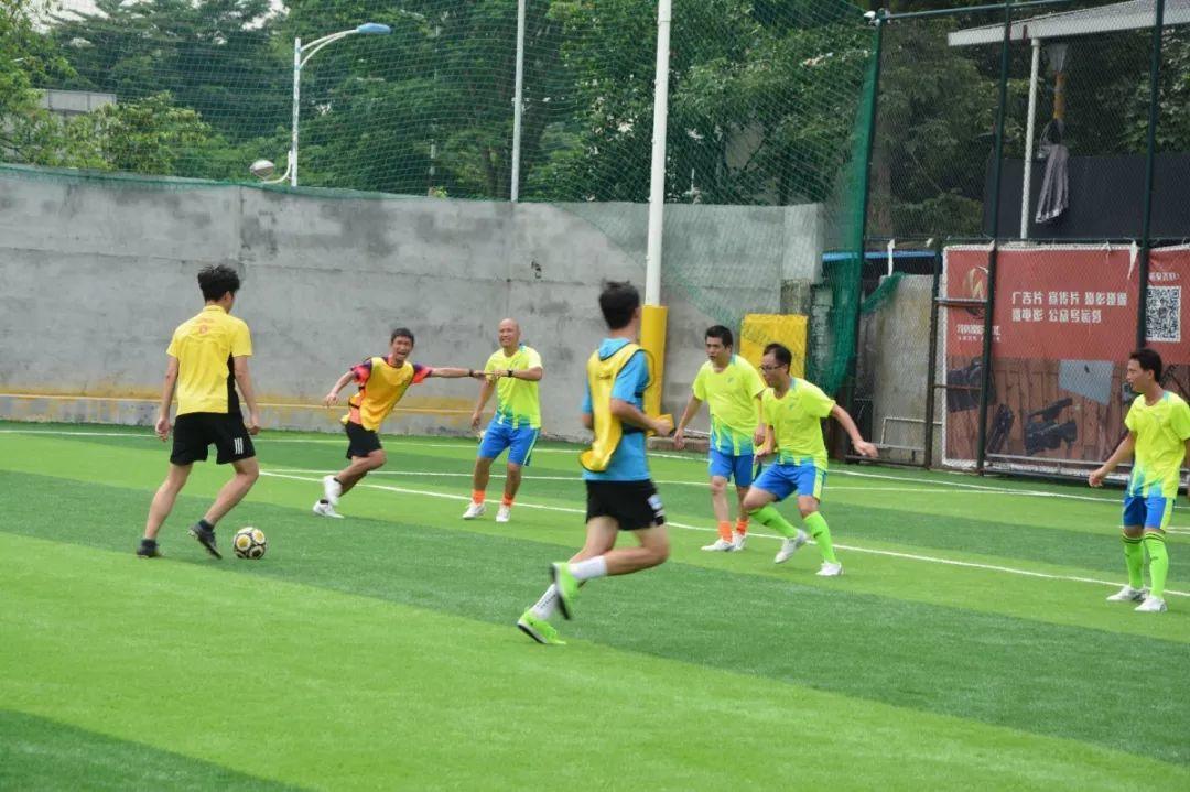 派迪茵体育直播,派迪茵体育训练套装