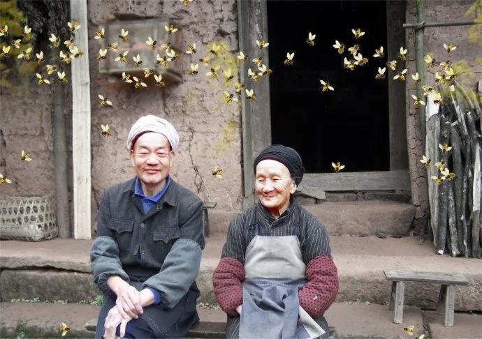 隐居深山40年的姐弟恋,姐弟恋40年隐居深山