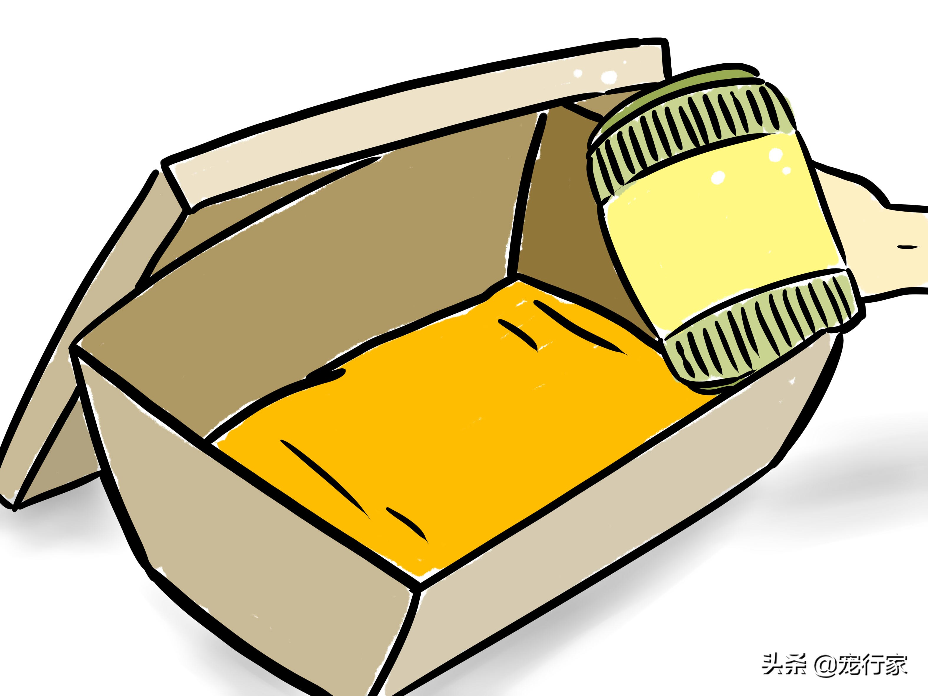 小猫刚生母猫没有母乳可以养活吗,刚出生三天的小猫没有猫妈妈