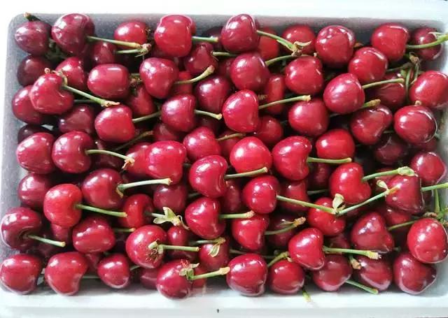 东北五里屯特产排行榜前十名,龙湾特产必买清单