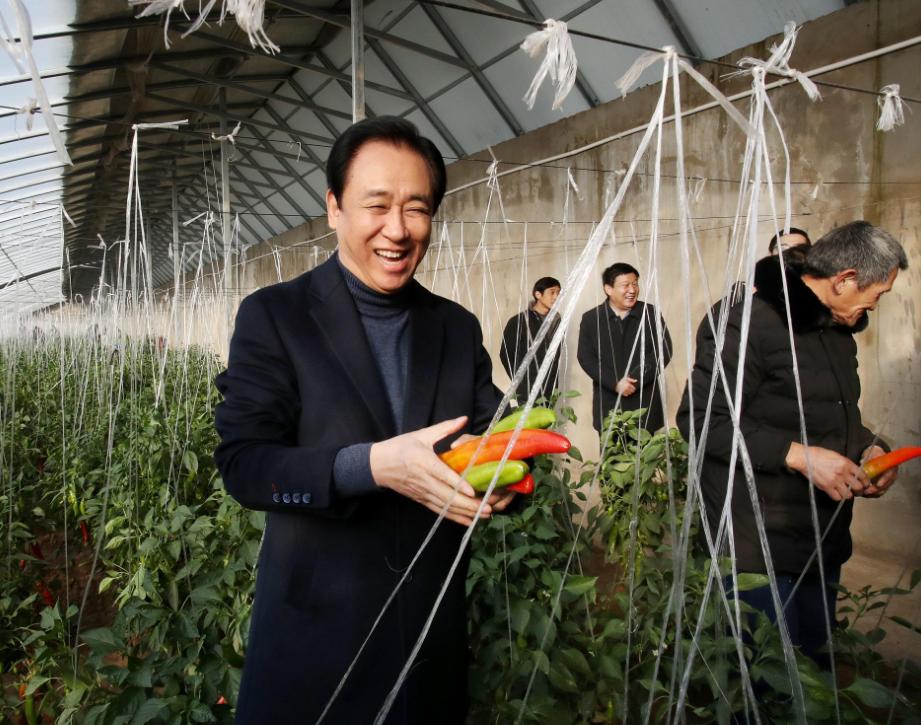 许家印又亏8000亿丝毫不慌,许家印亏损的五个项目