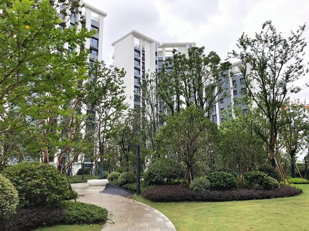 前滩板块最好的户型图,前滩各楼盘户型