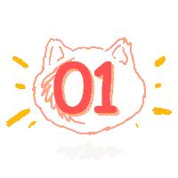 搬家时的断舍离,搬家收拾断舍离