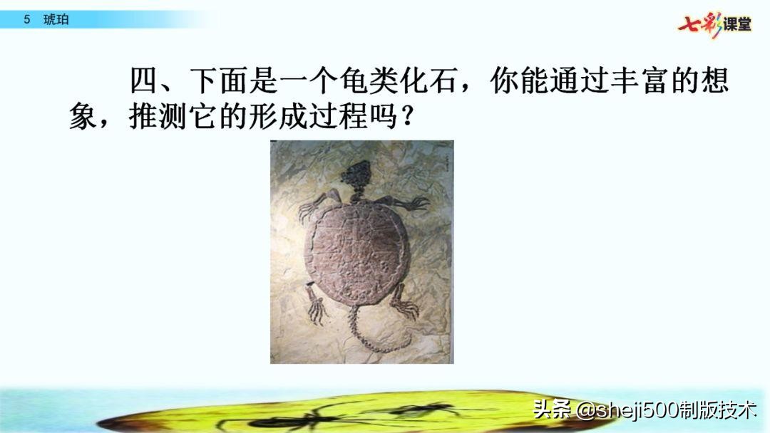 四年级语文下册第5课琥珀知识点,语文书四年级下册琥珀预习分段