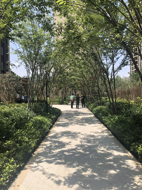 碧桂园欧洲城风貌,碧桂园欧洲城现房价格