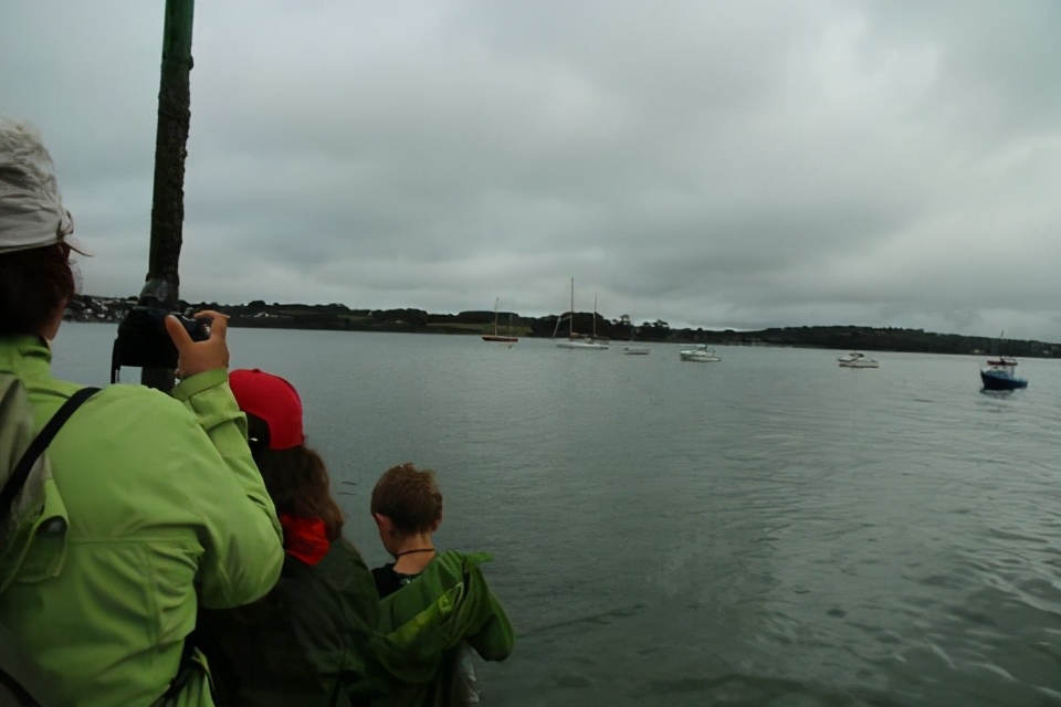 海豚的外形特征及繁衍方式,海豚生殖方式