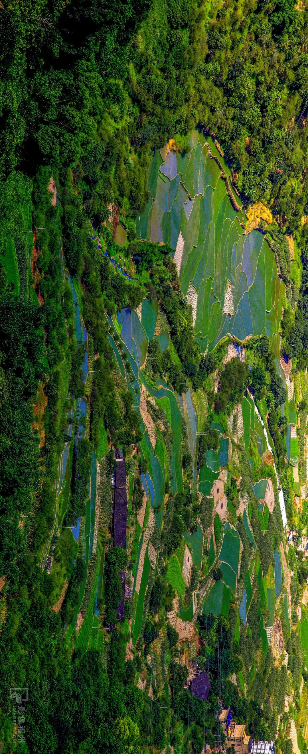 白云区永泰,什么是永泰葱饼