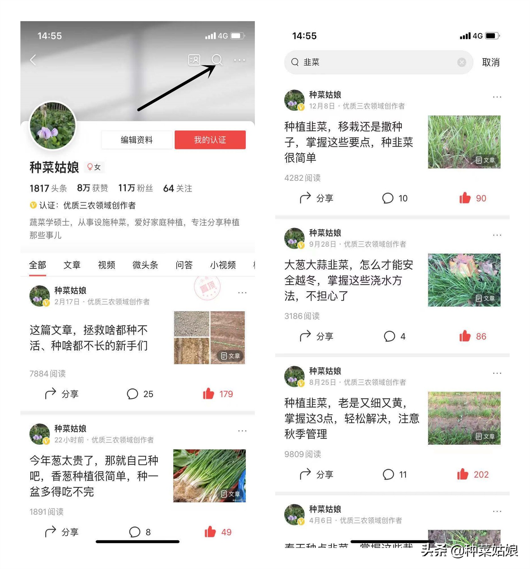 冬季阳光房种菜的技巧与方法,冬季种菜有哪些品种