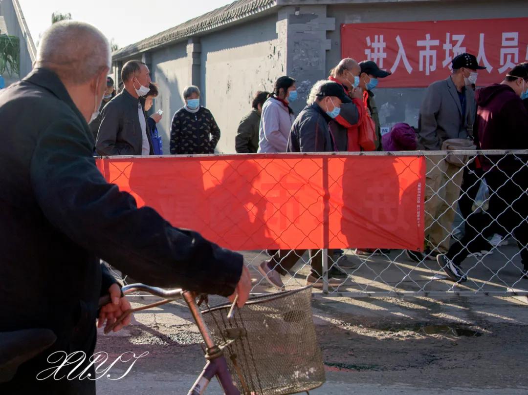 天津徐庄子宠物市场,天津北辰小街桥下宠物市场