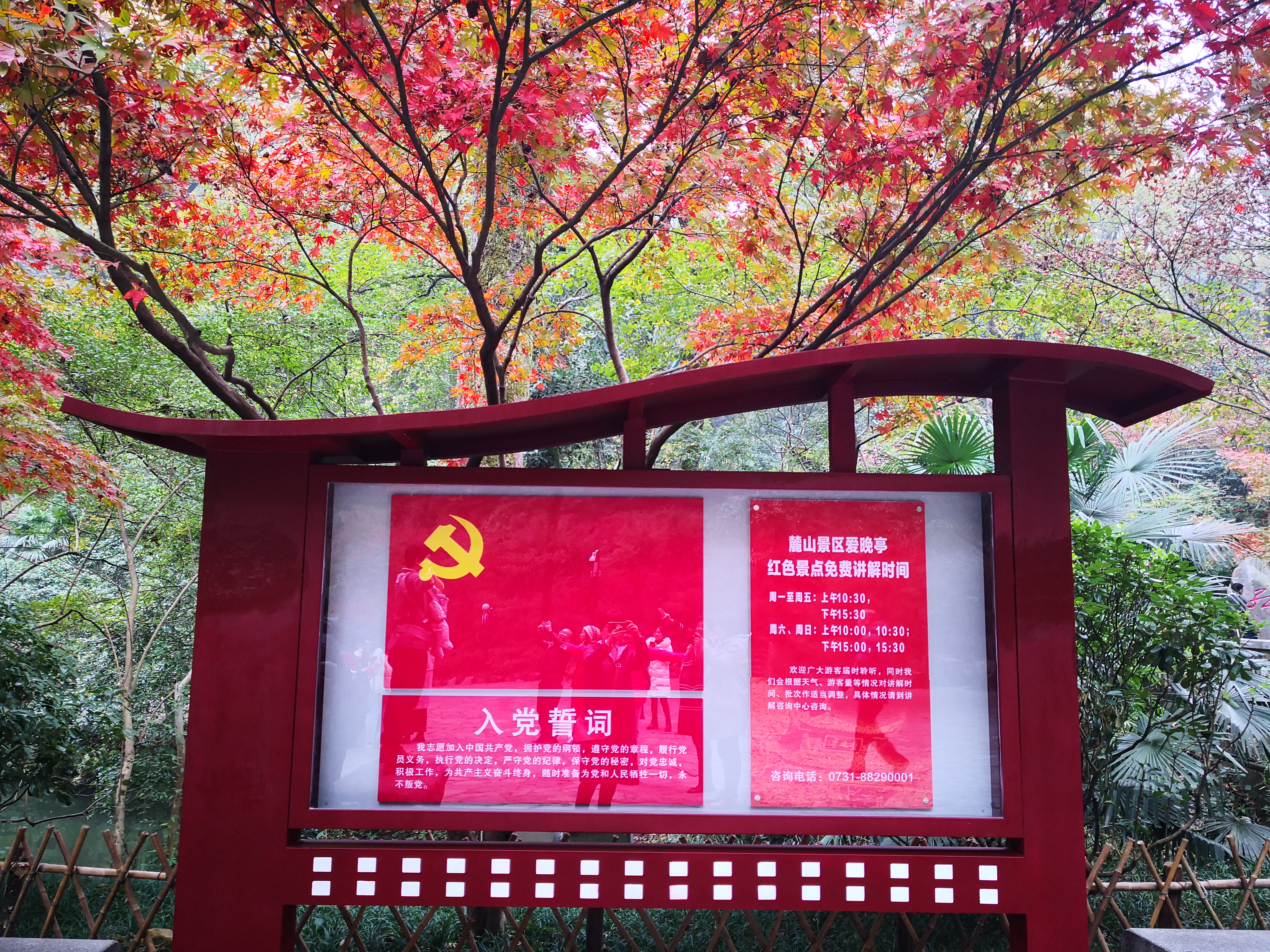 最实惠长沙一日游,长沙一日游的攻略