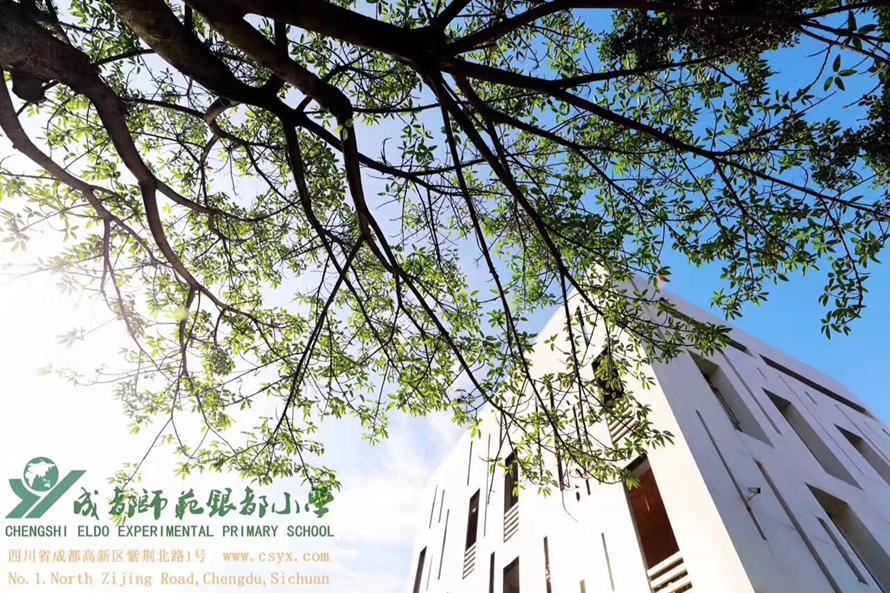 成都私立小学学校招生,2020年成都私立小学招生