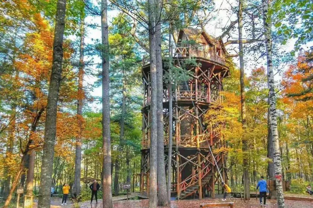 假期逛景区一大波优惠等着您,景点优惠活动视频