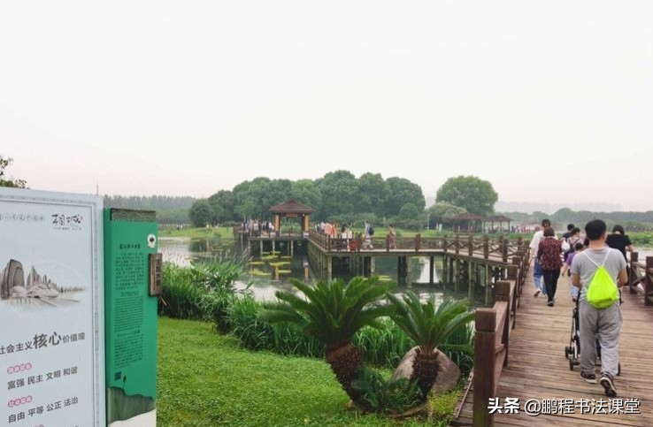 莲池湖公园赏荷花攻略,荷塘月色湿地公园最佳赏荷时间