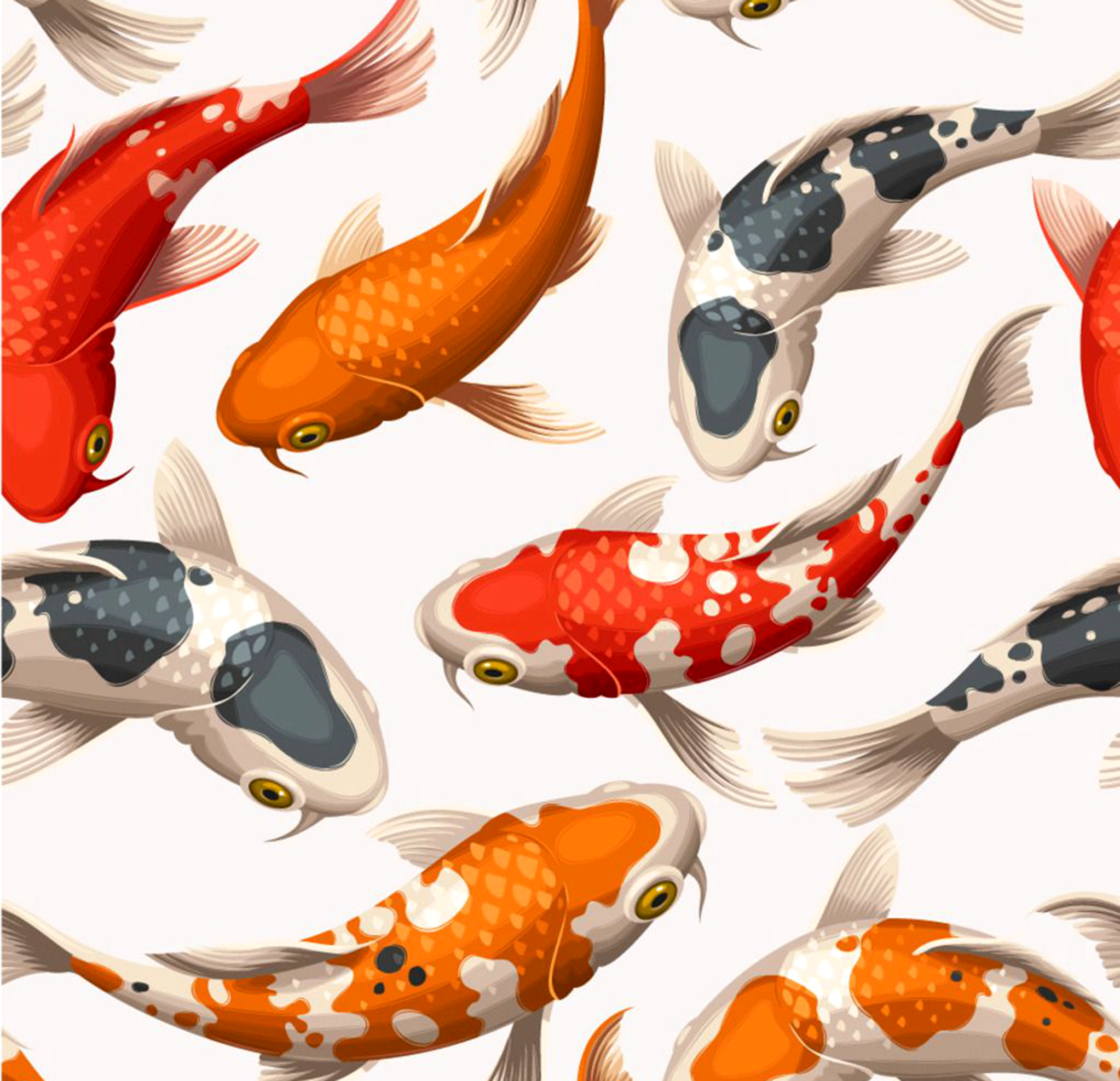 讲述小鲤鱼跳龙门的大概故事,鲤鱼跳龙门具有什么样的习性