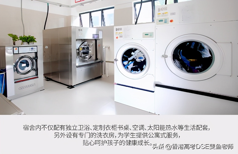 鲸帆dse国际,鲸帆dse国际学校创作人