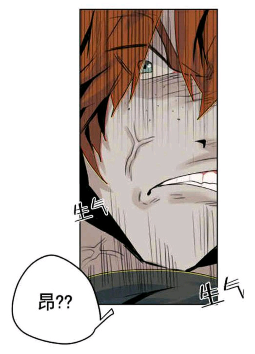 死亡之鸟的凝视第十八话完整版,死亡之鸟的凝视漫画免费