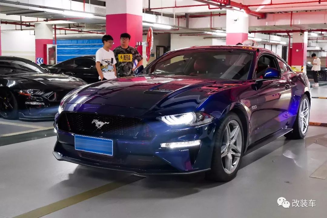 福特mustang杭州,杭州福特野马车友会