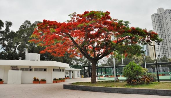 「词风雅韵」季国强｜守望沧桑追过往雄关似铁锁流年