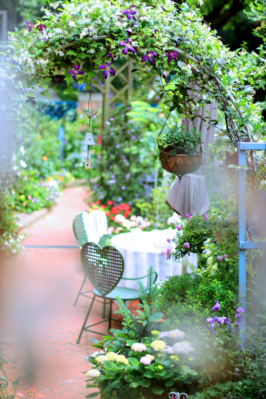 爬藤植物怎么牵引造型,爬藤植物是怎么爬藤的