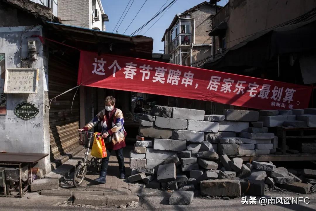 油菜花都谢了还没有人来,油菜花都开了春天还会远吗