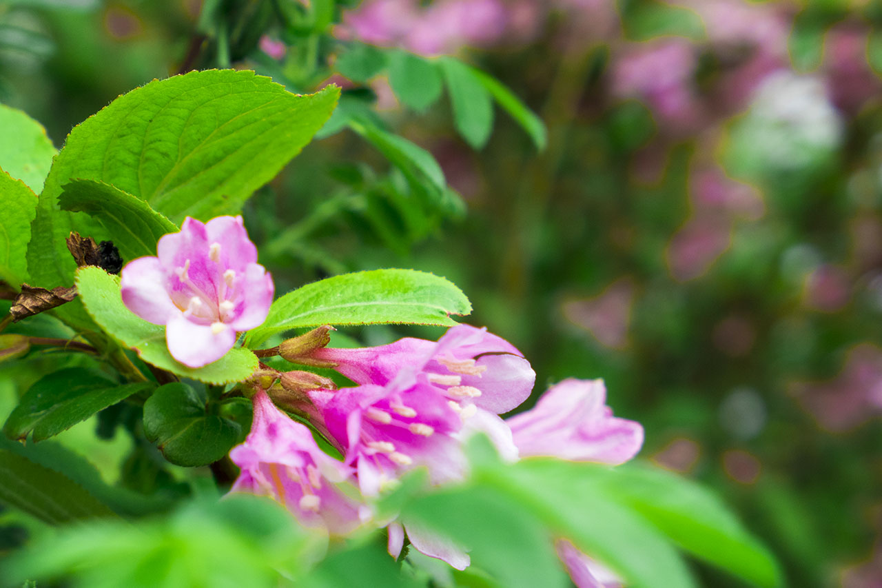 松下相机lx10与lx100m2的区别,松下lx10与单反拍照样张对比