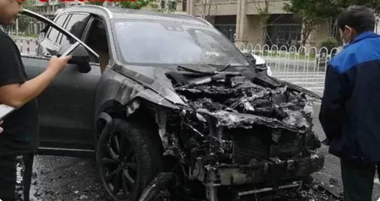 挪威新车内惊现中国火腿肠,怎么回事?