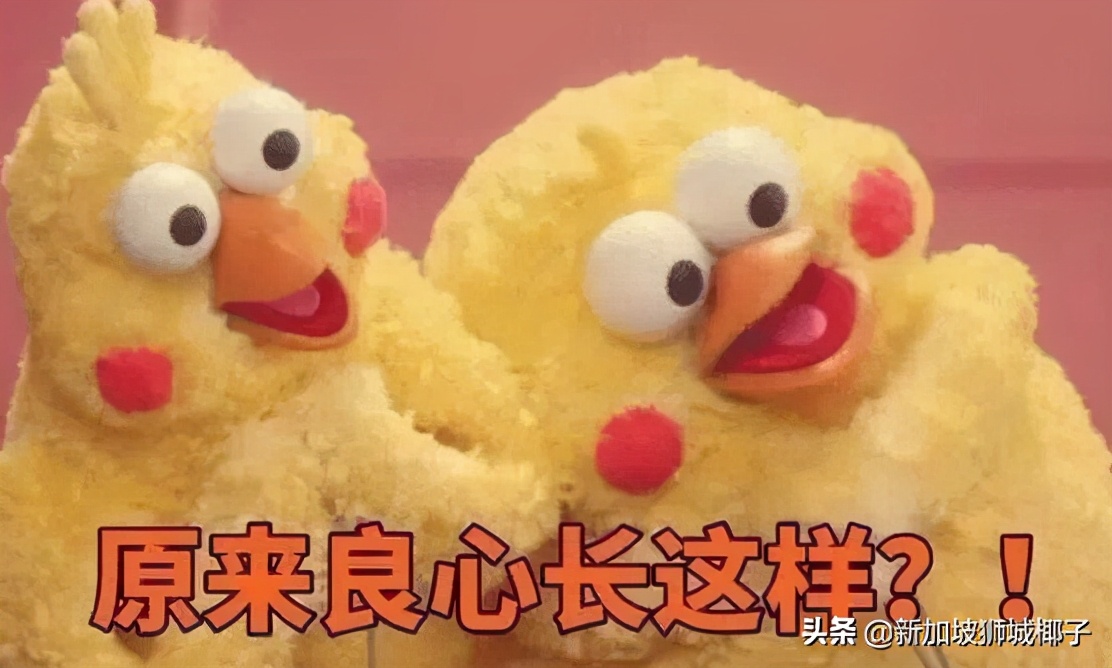 新加坡航空麻将,新加坡航空788