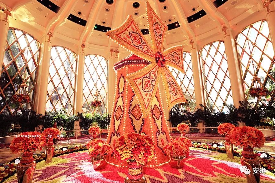 住进澳门的拉斯维加斯，打开“魔法盒”里活色生香的夜生活