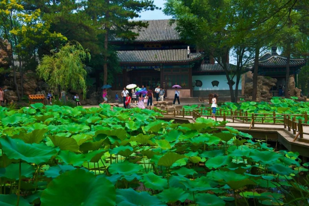 北京避暑,北京值得一去的皇家园林