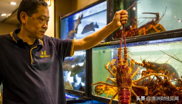 可惜!经营30多年,终于没能撑下来,悉尼金唐海鲜酒家关张清算