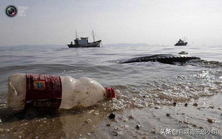 巴西足球给巴西带来了什么,巴西除了足球的历史还有什么历史
