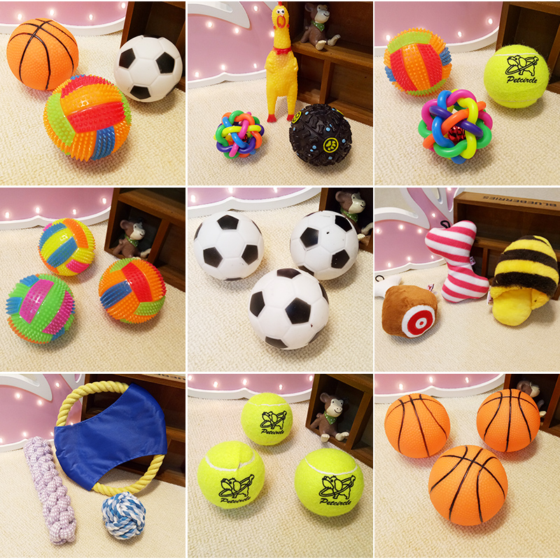 宠物玩具有必要吗,宠物电动玩具遥控逗狗