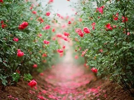 7款不踩雷的男生香水，太太太好闻了