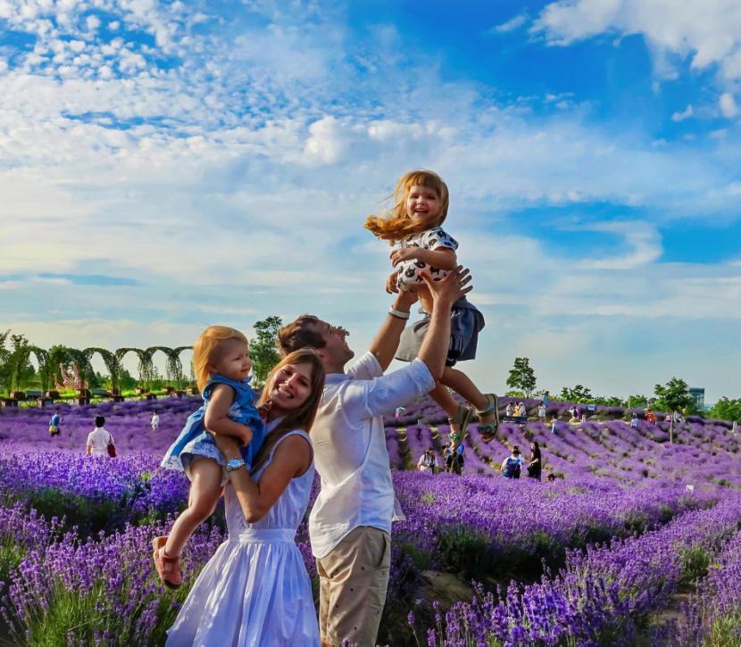 上海最大薰衣草公园,上海薰衣草公园迪士尼