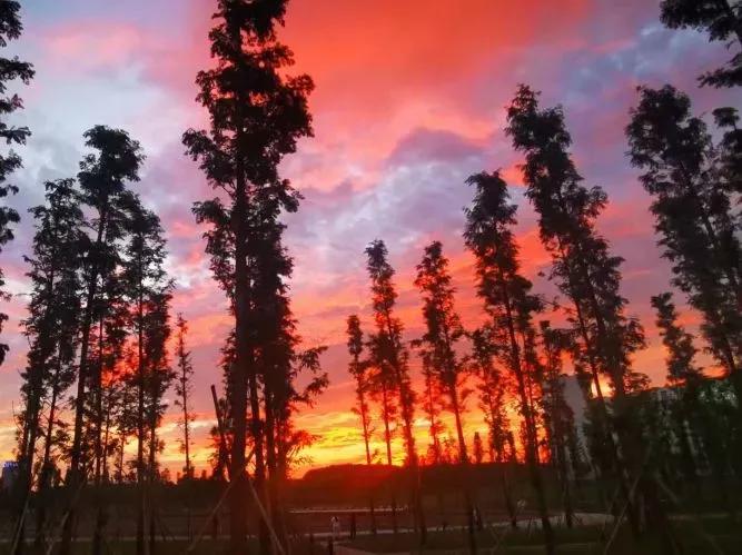 安徽省合肥师范学院2024招生简章,安徽省合肥师范学院今年投档线