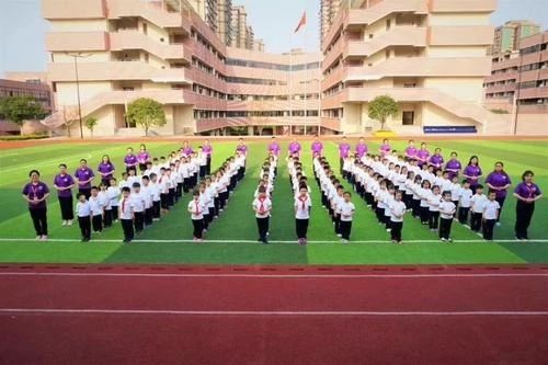 重庆小学费用到底多少钱,重庆的小学凭什么这么贵