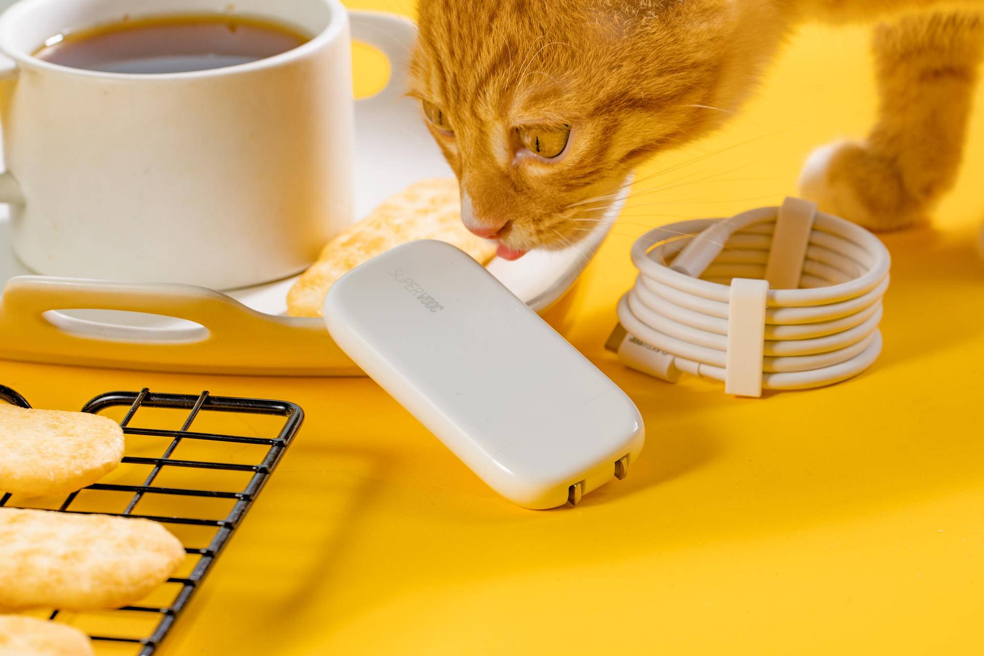 oppo超级闪充60w充电器,官方oppo超级闪充充电器