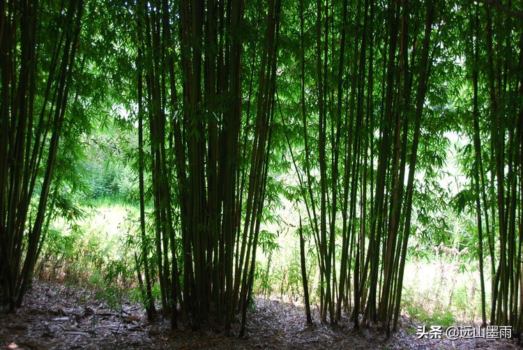 昆明嘉丽泽小镇旅游,昆明嘉丽泽水乡