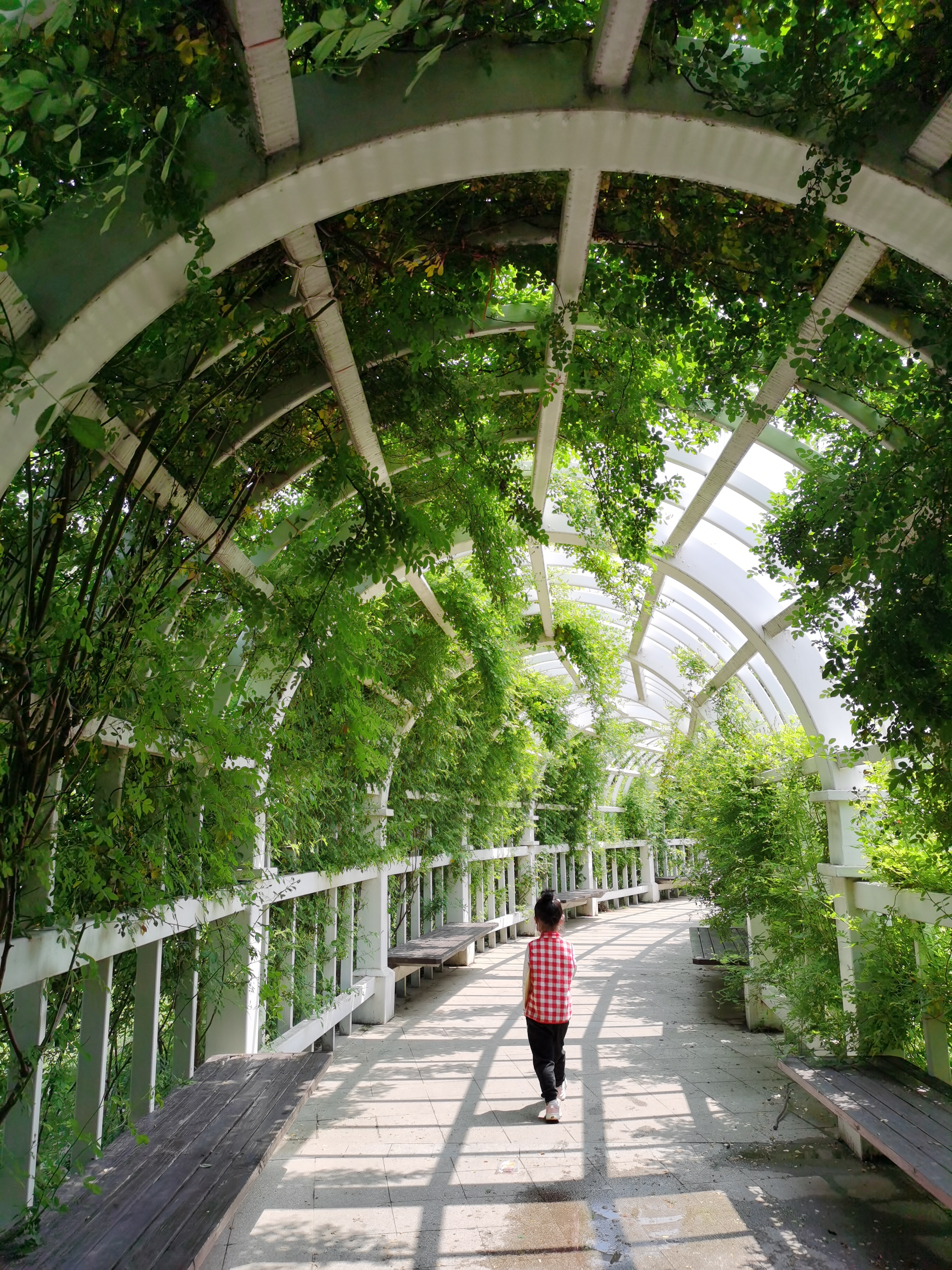 5.1免费公园遛娃好去处,网友推荐郑州树木园游玩好去处